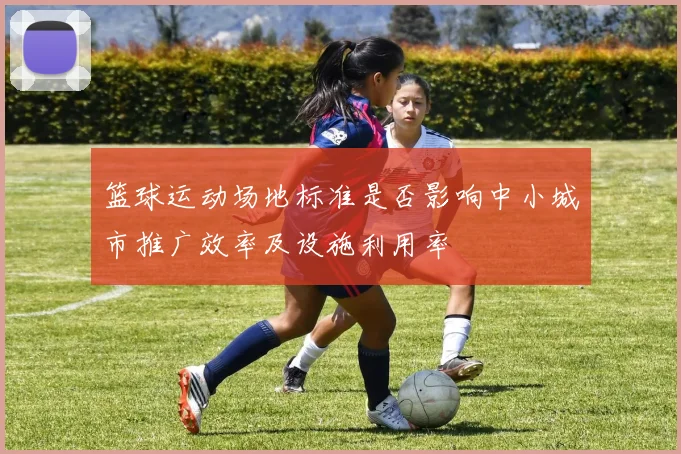篮球运动场地标准是否影响中小城市推广效率及设施利用率