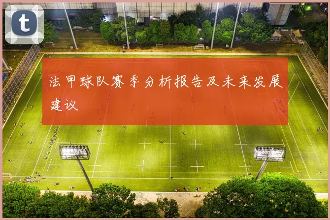 法甲球队赛季分析报告及未来发展建议